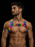 ARNÉS DOMINANS ESENCIAL PRIDE