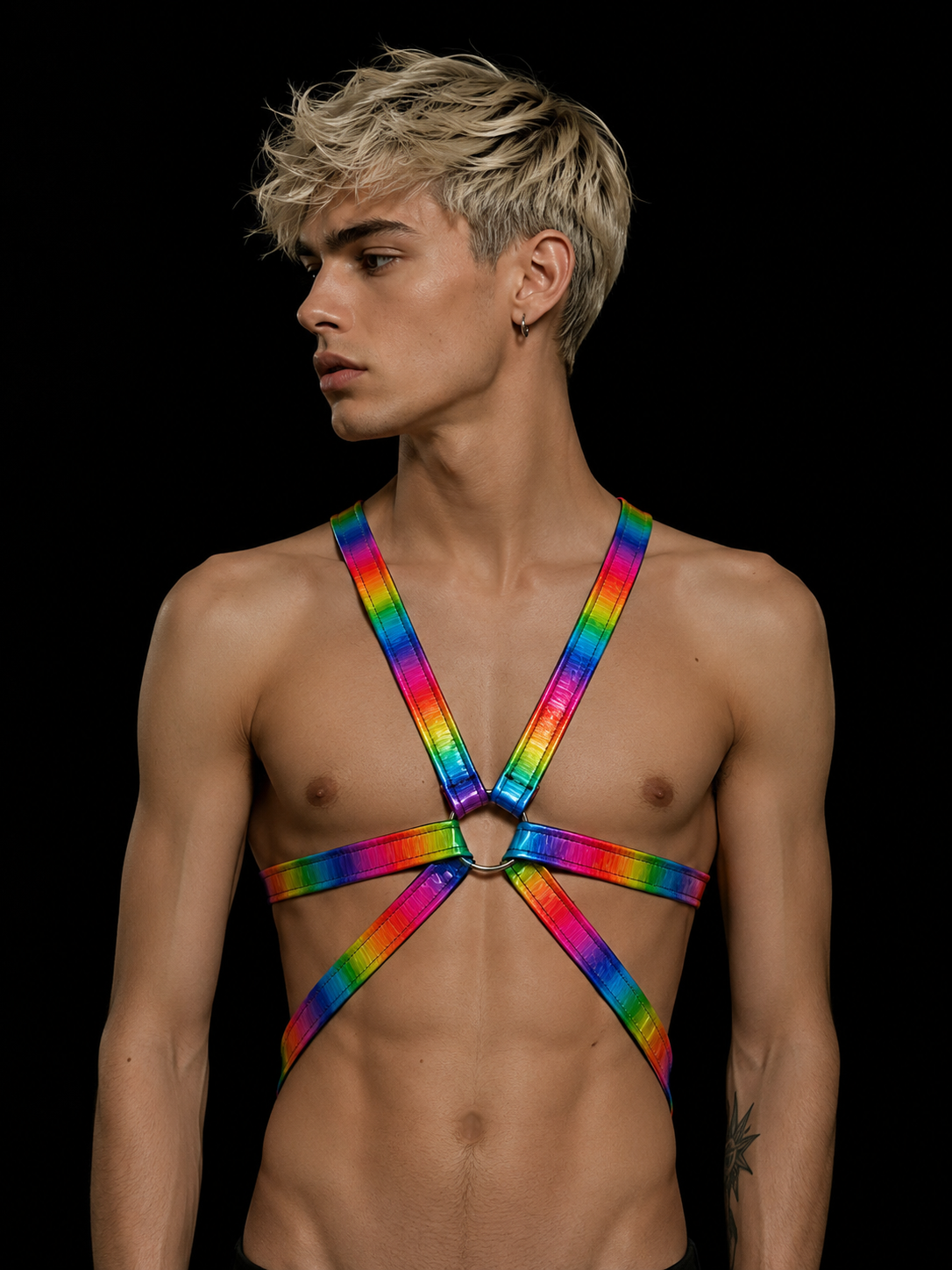 ARNÉS DOMINANS AUDAZ PRIDE